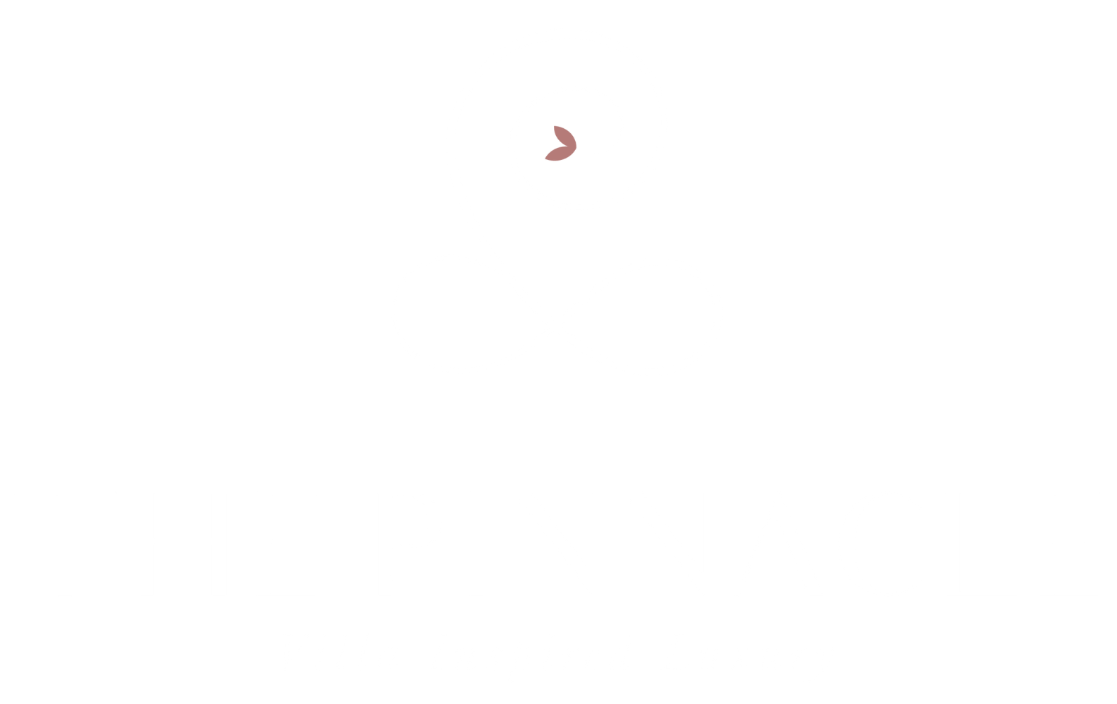 The Pinnacle Logo